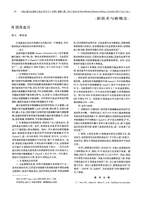 H型高血压