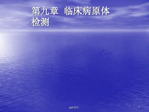 临床常见病原体检查ppt课件