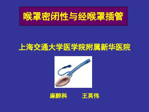喉罩密闭性