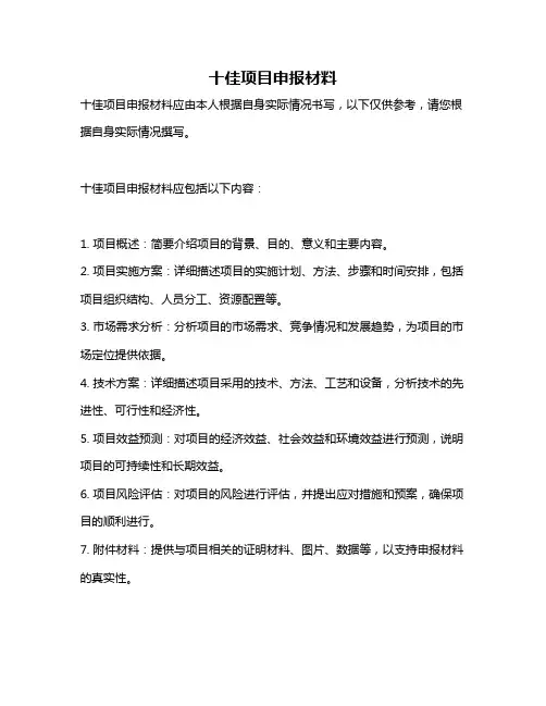 十佳项目申报材料