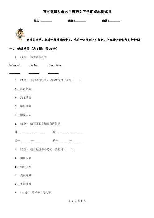 河南省新乡市六年级语文下学期期末测试卷 
