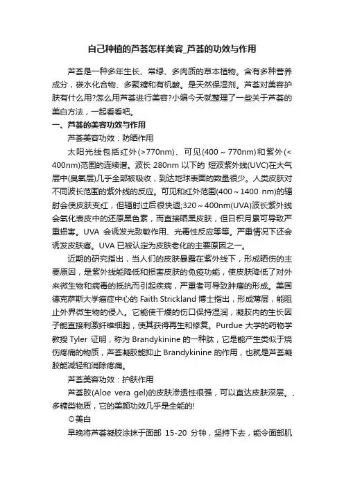 自己种植的芦荟怎样美容_芦荟的功效与作用