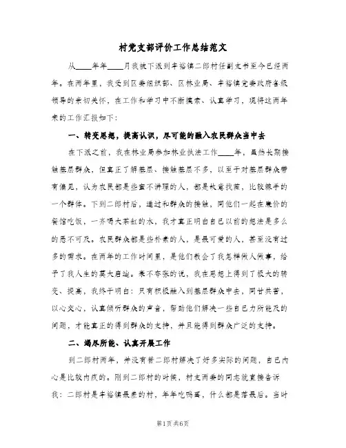 村党支部评价工作总结范文(二篇)