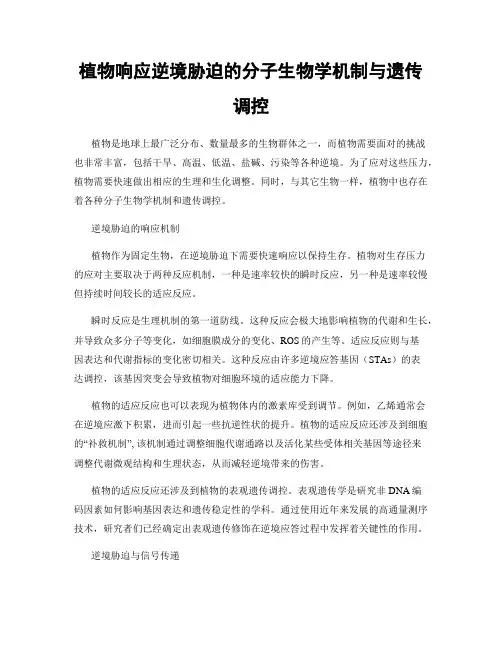 植物响应逆境胁迫的分子生物学机制与遗传调控