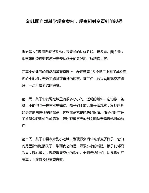 幼儿园自然科学观察案例：观察蝌蚪变青蛙的过程