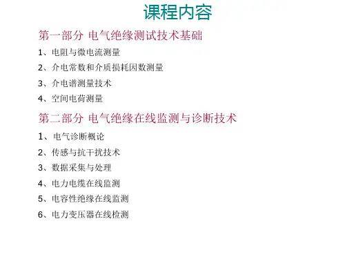 电气绝缘测试技术专题课件.ppt