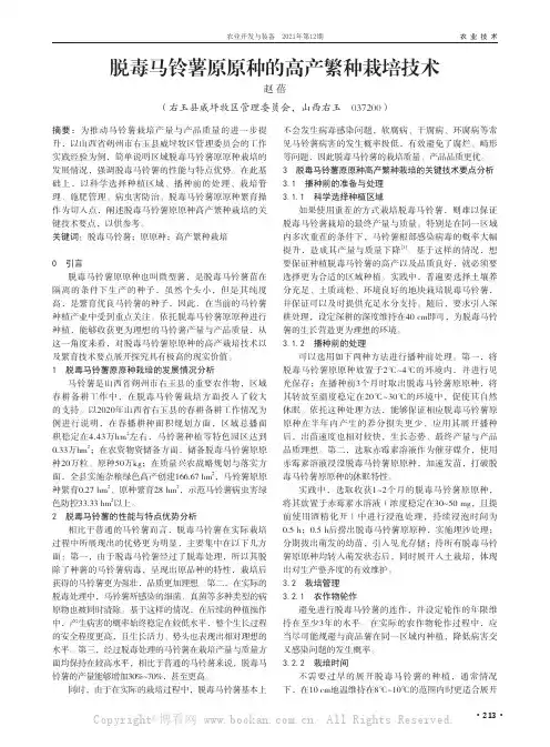 脱毒马铃薯原原种的高产繁种栽培技术