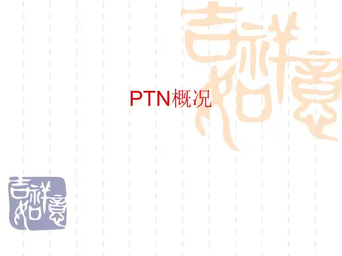 PTN概况