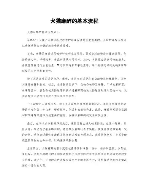 犬猫麻醉的基本流程