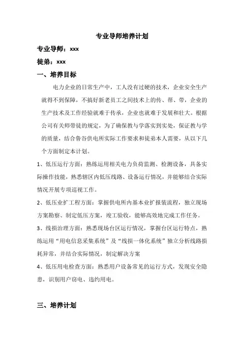 电力专业师带徒培训方案