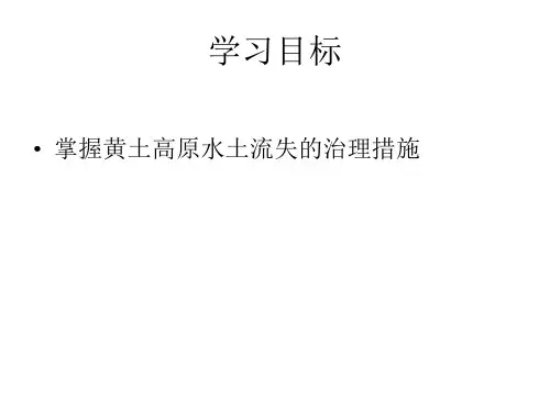 2024年黄土高原水土流失的治理