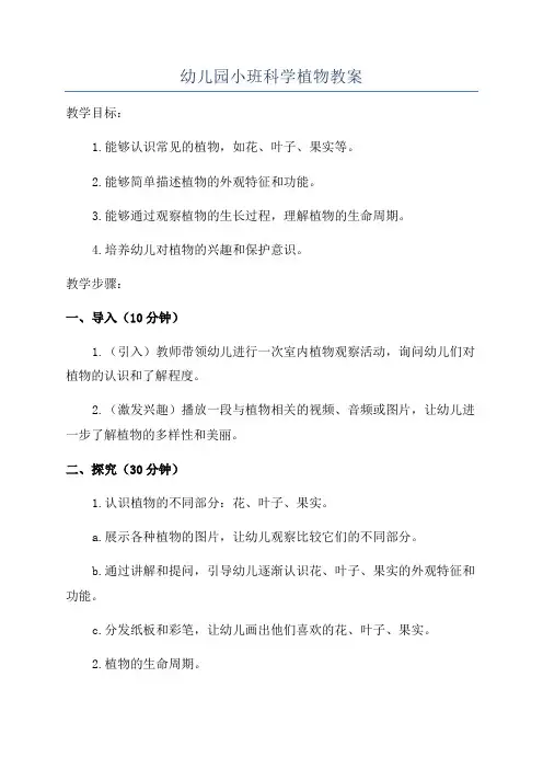 幼儿园小班科学植物教案