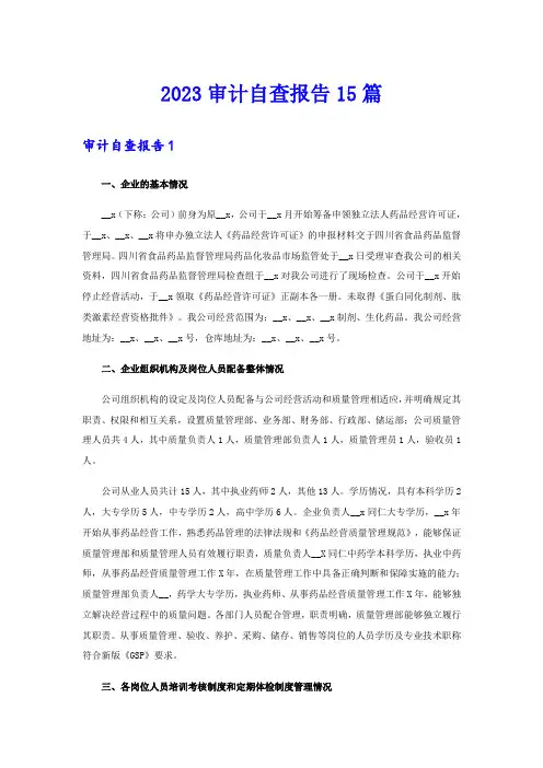2023审计自查报告15篇