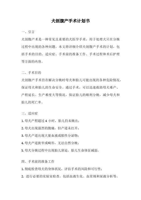 犬剖腹产手术计划书