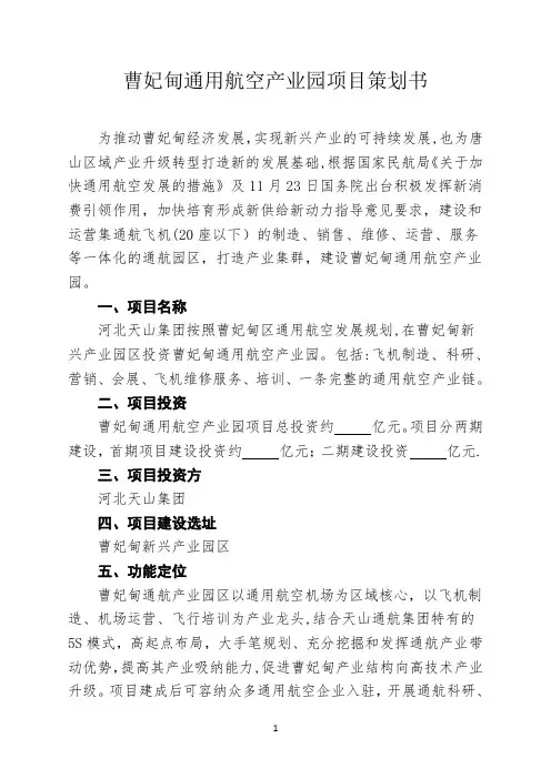 通用航空产业园项目策划书