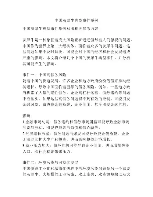 中国灰犀牛典型事件举例