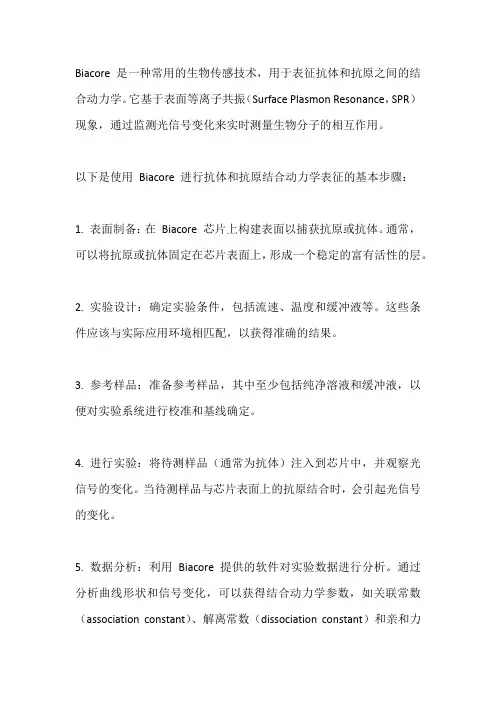 biacore表征抗体和抗原的结合动力学