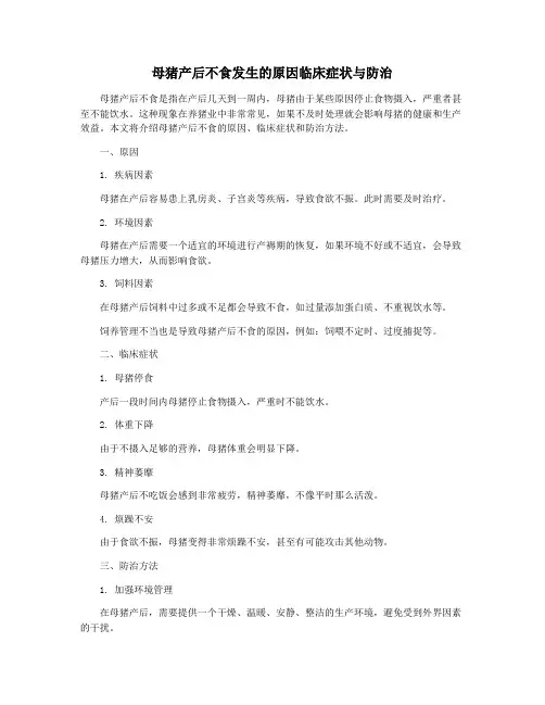 母猪产后不食发生的原因临床症状与防治