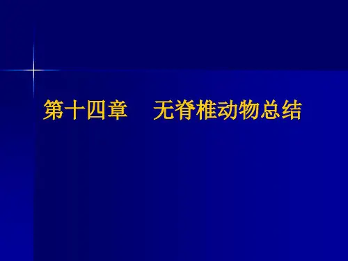 14无脊椎动物总结