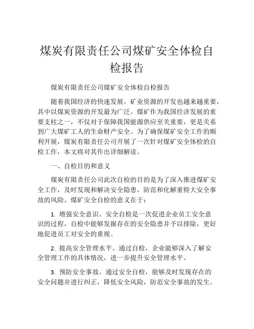 煤炭有限责任公司煤矿安全体检自检报告
