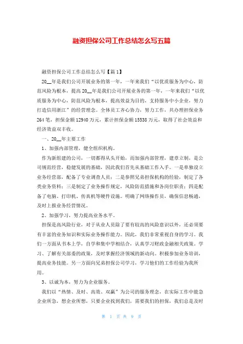 融资担保公司工作总结怎么写五篇