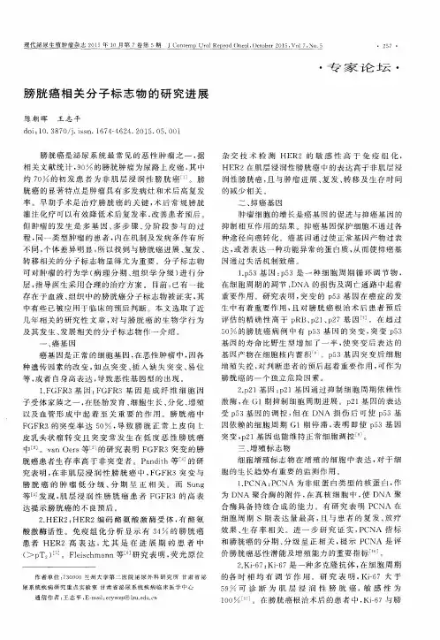 膀胱癌相关分子标志物的研究进展