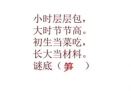 《笋芽儿》ppt课件