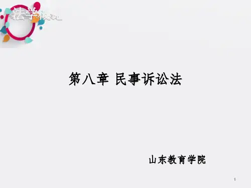 民事诉讼法ppt-第四章宪法