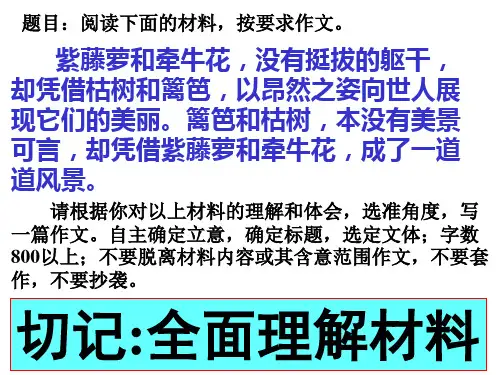 牵牛花作文评讲