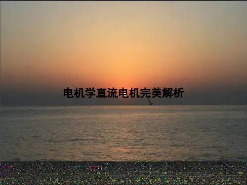 电机学直流电机