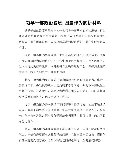 领导干部政治素质,担当作为剖析材料
