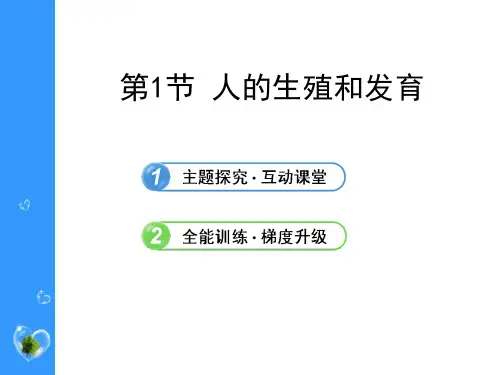 《人的生殖和发育》PPT