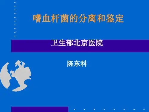 嗜血杆菌的分离与鉴定 (1)