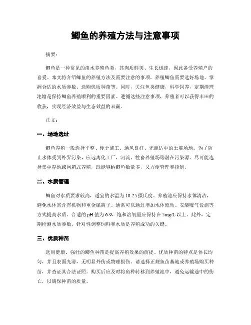 鲫鱼的养殖方法与注意事项