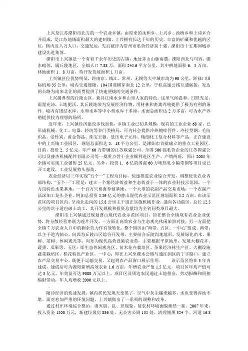 上兴未来发展规划