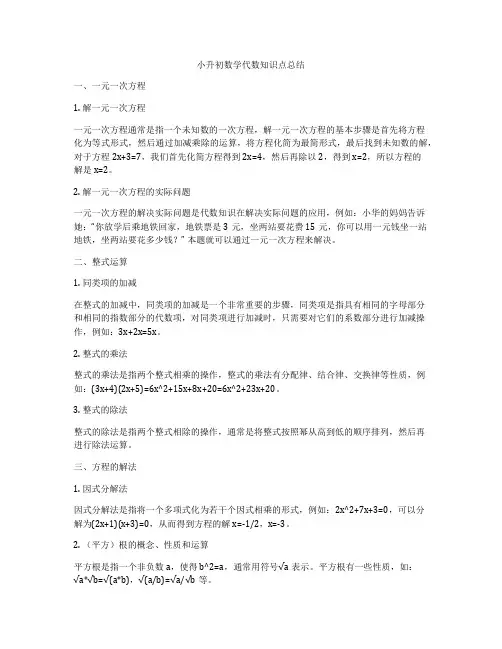 小升初数学代数知识点总结