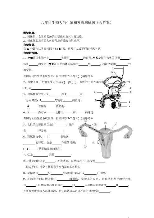 八年组生物人的生殖和发育测试题(含答案)