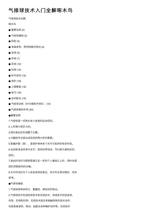 气排球技术入门全解啄木鸟