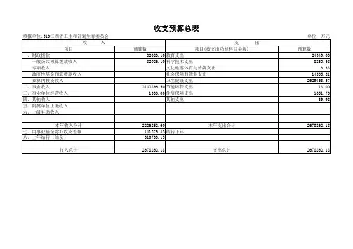 收支预算总表