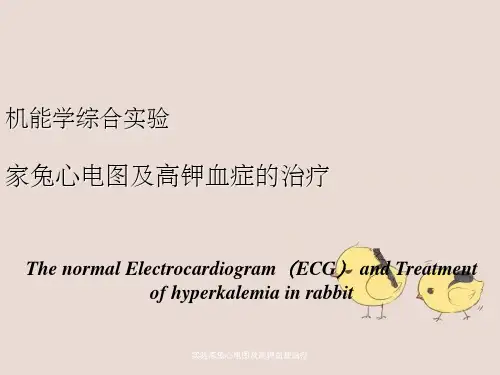 实验家兔心电图及高钾血症治疗