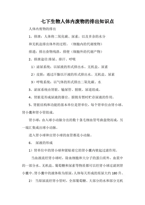 七下生物人体内废物的排出知识点
