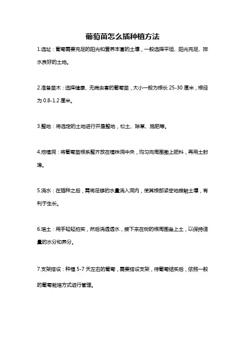 葡萄苗怎么插种植方法