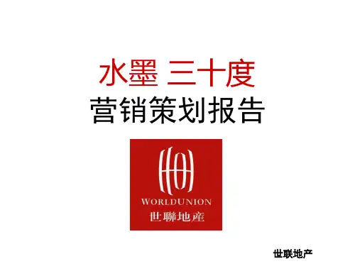 苏州世联地产商业项目营销策划报告