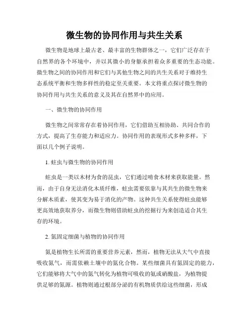 微生物的协同作用与共生关系