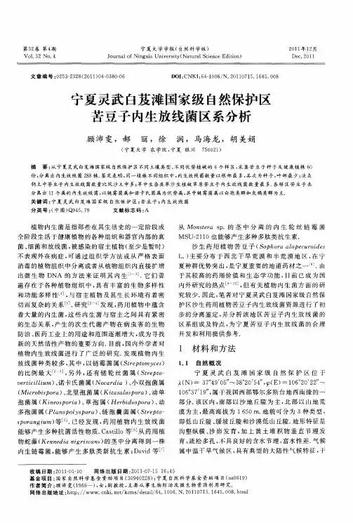宁夏灵武白芨滩国家级自然保护区苦豆子内生放线菌区系分析