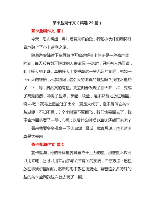 茶卡盐湖作文(精选29篇)