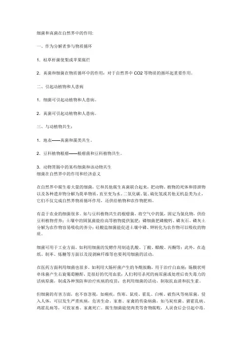 细菌和真菌在自然界中的作用