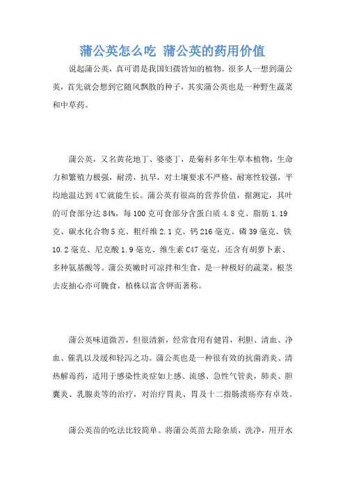 蒲公英怎么吃 蒲公英的药用价值
