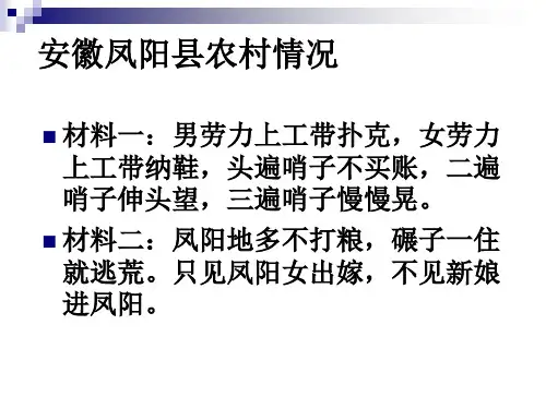 改革开放富起来