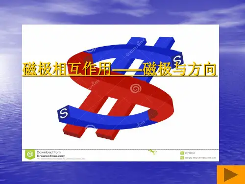 磁极相互作用——磁极与方向PPT